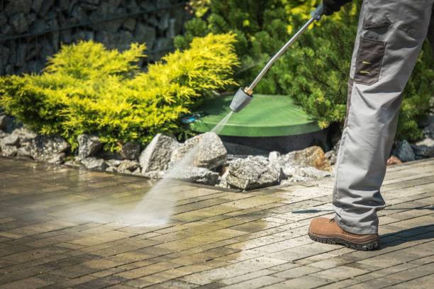 Best Sidewalk and Walkway Cleaning  in Lathrop, CA